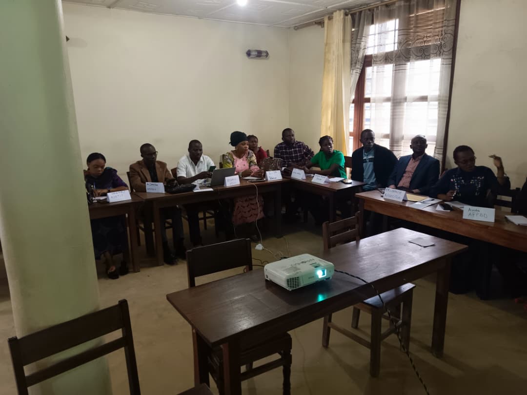 Le Leadership Humanitaire Local : le vrai reset du Système humanitaire